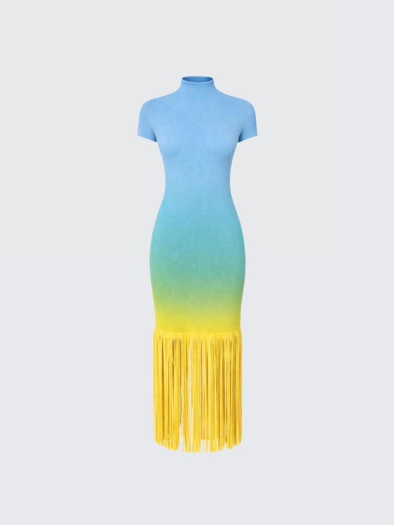 Fringe Knit Dress